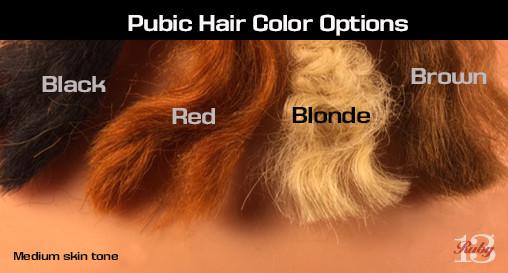 Pubic Hair Option 2